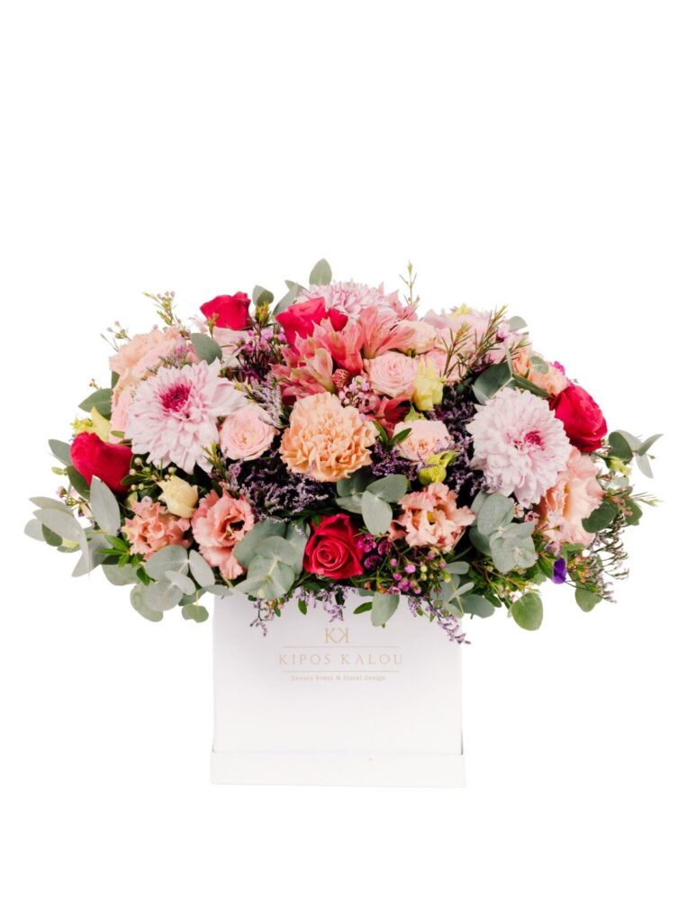 Amelia_Earheart-in-white-box-e1739901184880