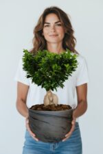 bonsai-65-2-Virtual-Model
