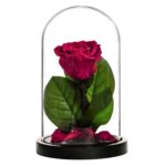 MM-8330new_cherry-removebg-removebg
