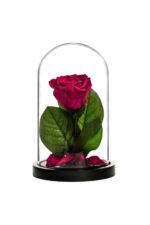 MM-8330new_cherry-removebg-removebg