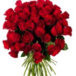 MM-8816-Simply_Red-removebg