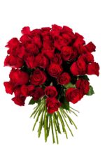 MM-8816-Simply_Red-removebg