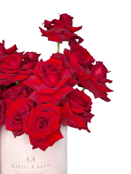 Flaming-Roses2