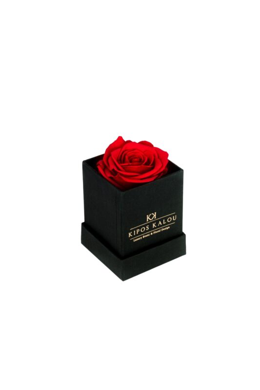 MM-7945_new_red-removebg