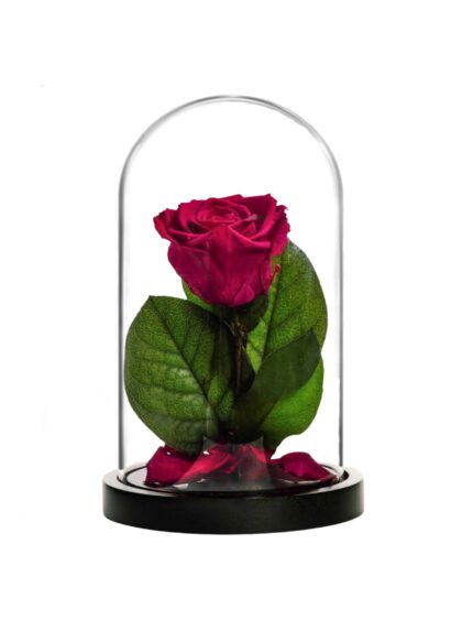 MM-8330new_cherry-removebg-removebg