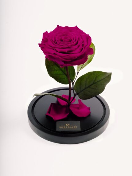 MM-8388-new-cherry