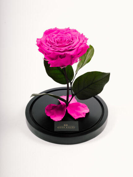 MM-8389-copy