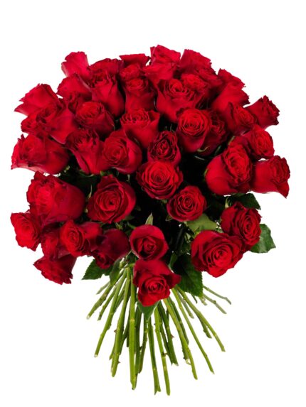 MM-8816-Simply_Red-removebg