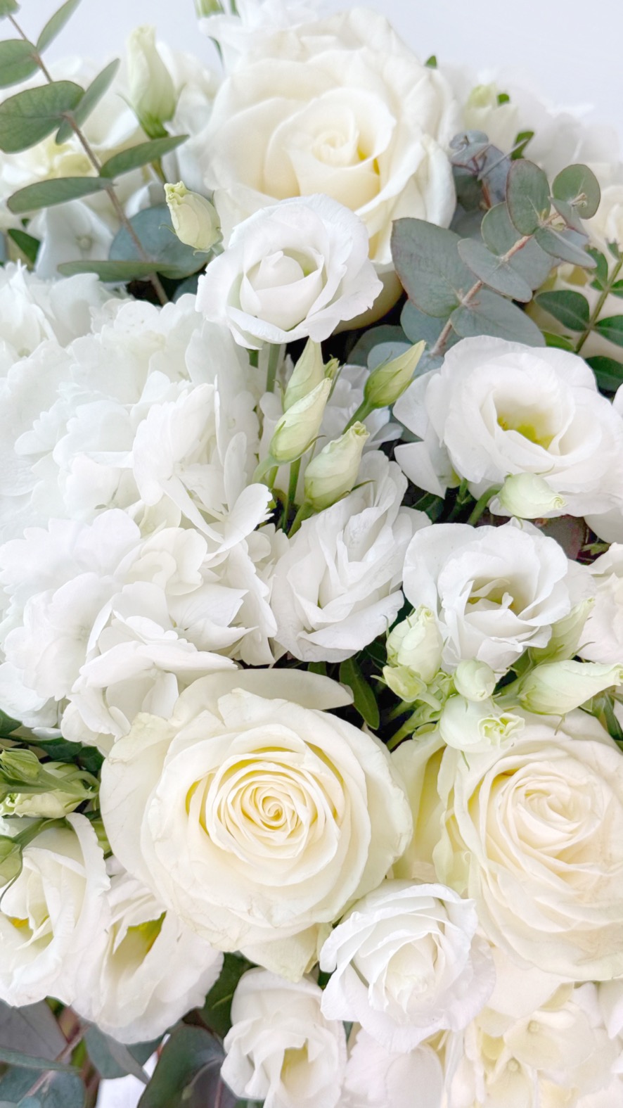 Snow-White-new-2-2-2