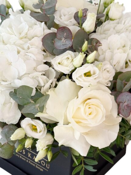 chrystal-white-new-2-2