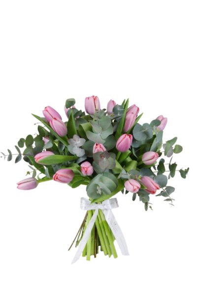 pink-tulips-IMG_9750-removebg-2-scaled-e1618153673246