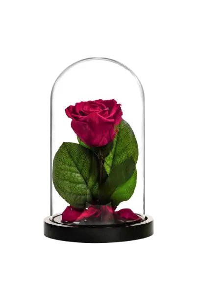 forever-roses
